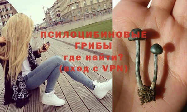 прущие крисы Арсеньев