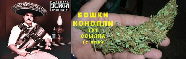 apvp Армянск