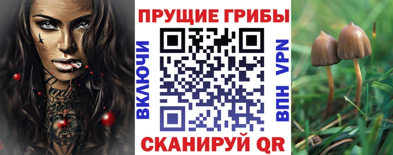 купить   Тарко-Сале  Псилоцибиновые грибы мухоморы 
