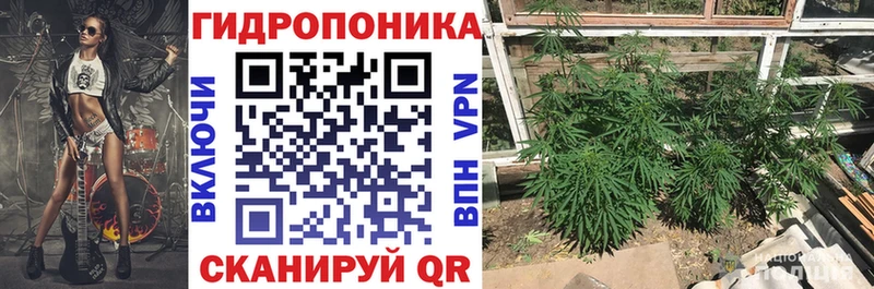 Бошки Шишки планчик Тарко-Сале